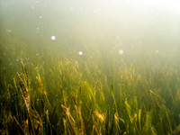 P7111791-Edit