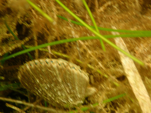 P7140701