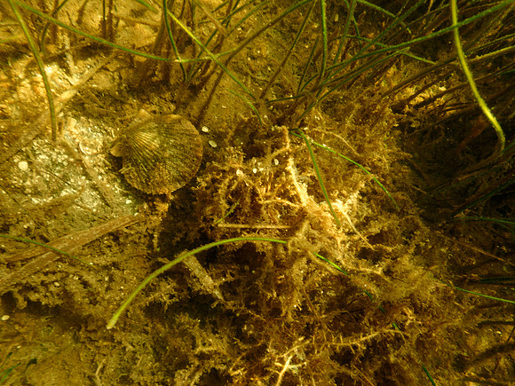 P7130569