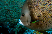 IMG_5258-Edit