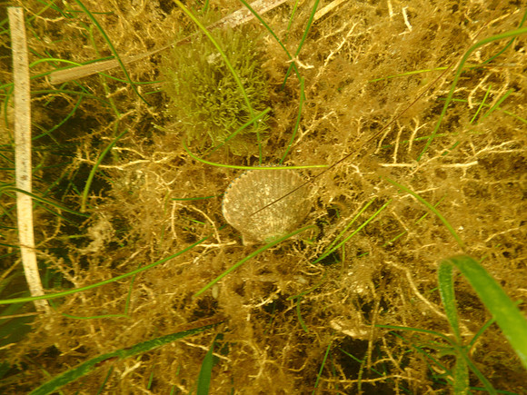 P7140668