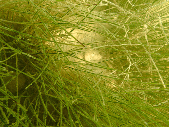P7150792