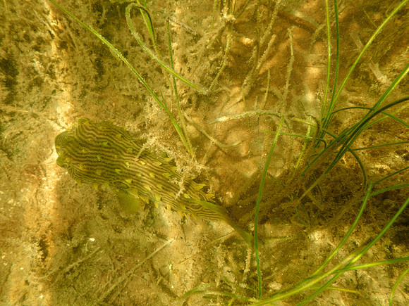 P7130587