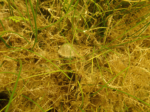 P7140699