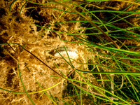 P7111819-Edit