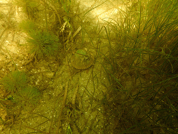 P7130570