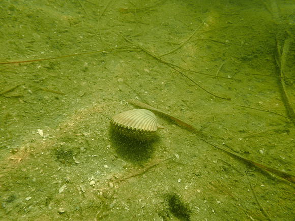 P7160804