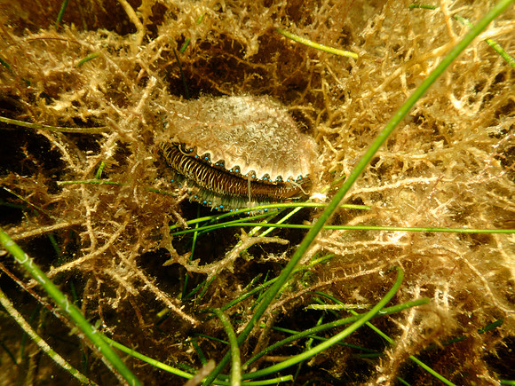 P7140720
