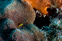 IMG_5260-Edit