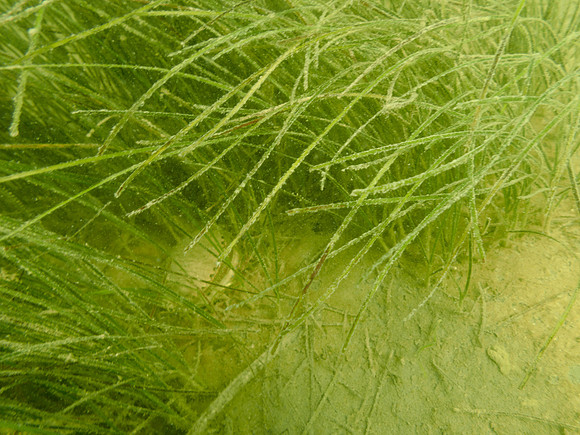 P7160806