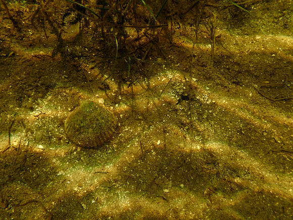 P7130575