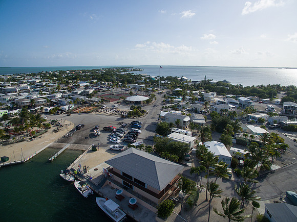 DJI_0565