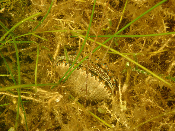 P7140670