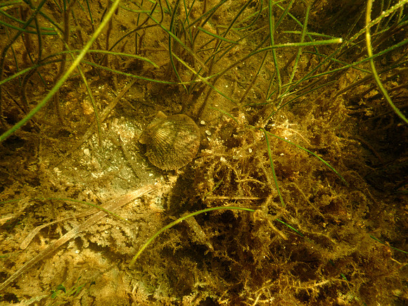 P7130568