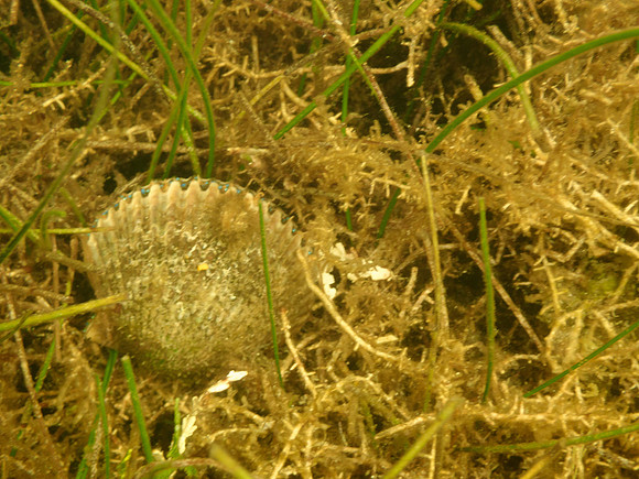 P7140674