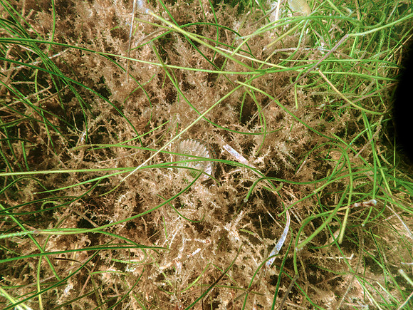 P7111823-Edit