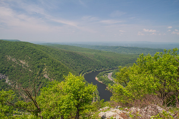 _MG_1901
