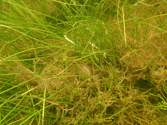 P7140705