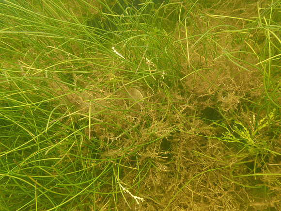 P7140706