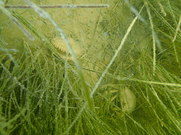 P7160812