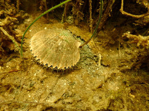 P7140710
