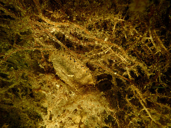 P7130577
