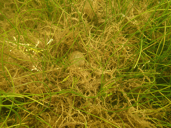 P7140712