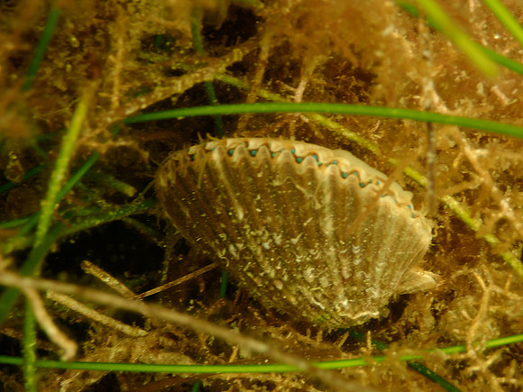 P7140702
