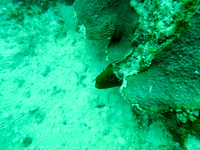 G0040150-Edit
