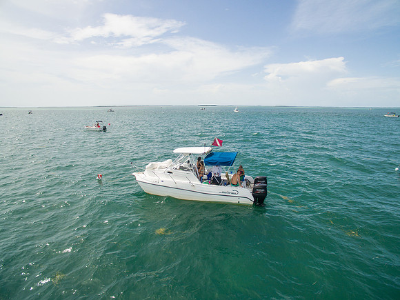 DJI_0539
