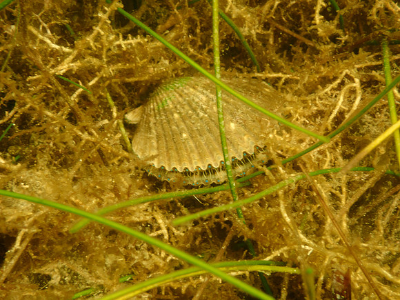 P7140700