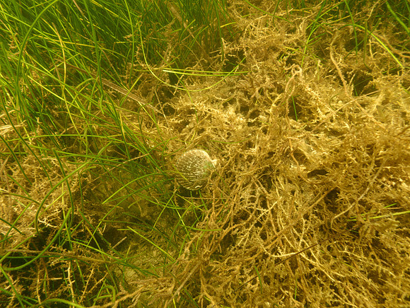 P7140726