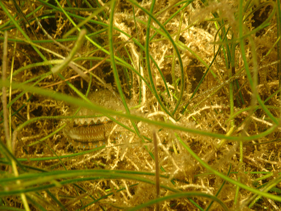 P7130642
