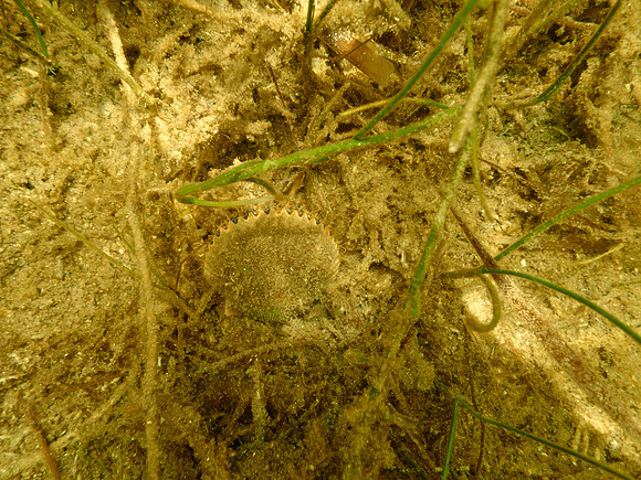 P7140718