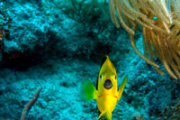 IMG_5268-Edit