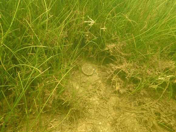 P7140708