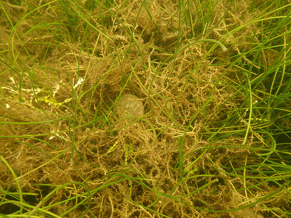 P7140711