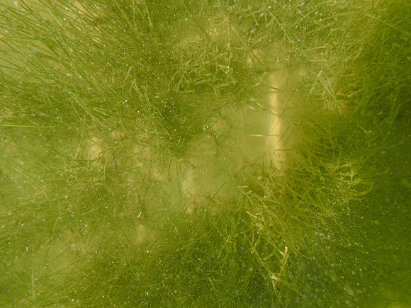 P7150793