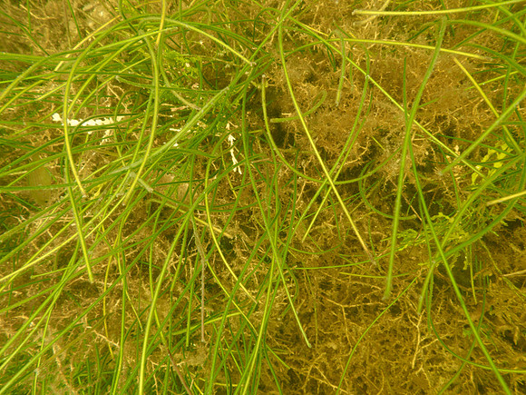 P7140707