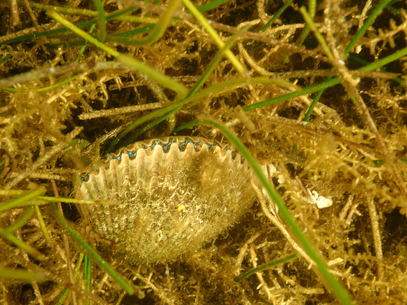 P7140676