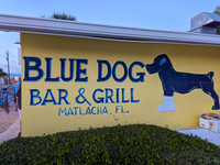 Drive Marina, Pool, BlueDog Dinner, Tripletail, Mullet May 23rd, 2024!