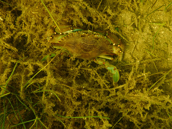 P7120559