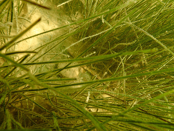 P7150791