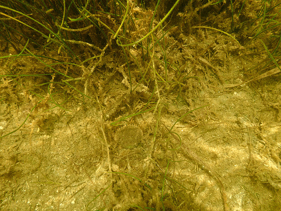 P7140717