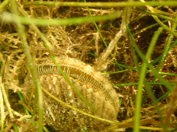 P7140715