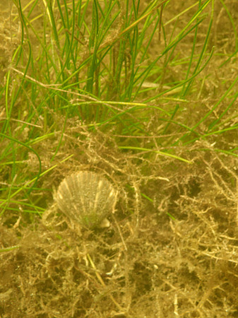 P7140678