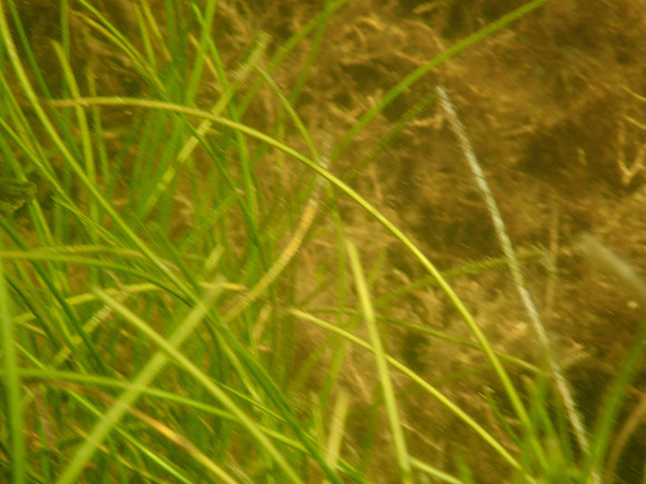 P7130579