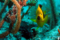 IMG_5274-Edit
