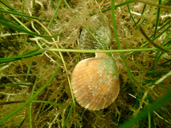 P7140732