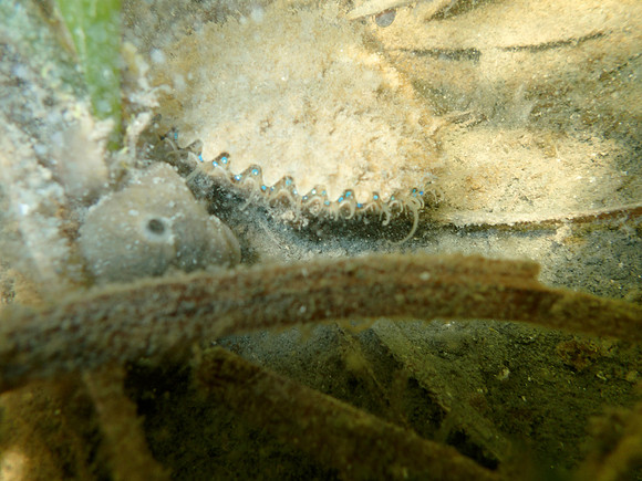 P7150789